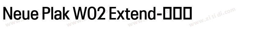 Neue Plak W02 Extend字体转换
